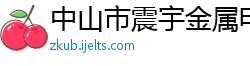 中山市震宇金属电器制品有限公司